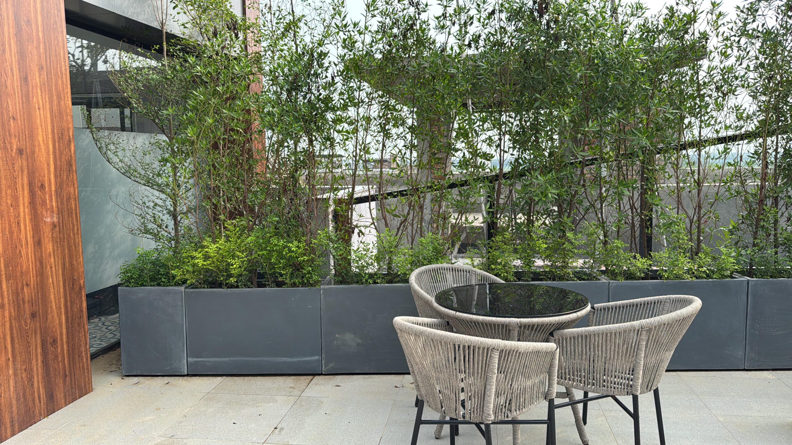 WhatsApp Image 2026-01-26 at 23.22.4355